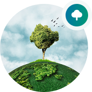 Environment