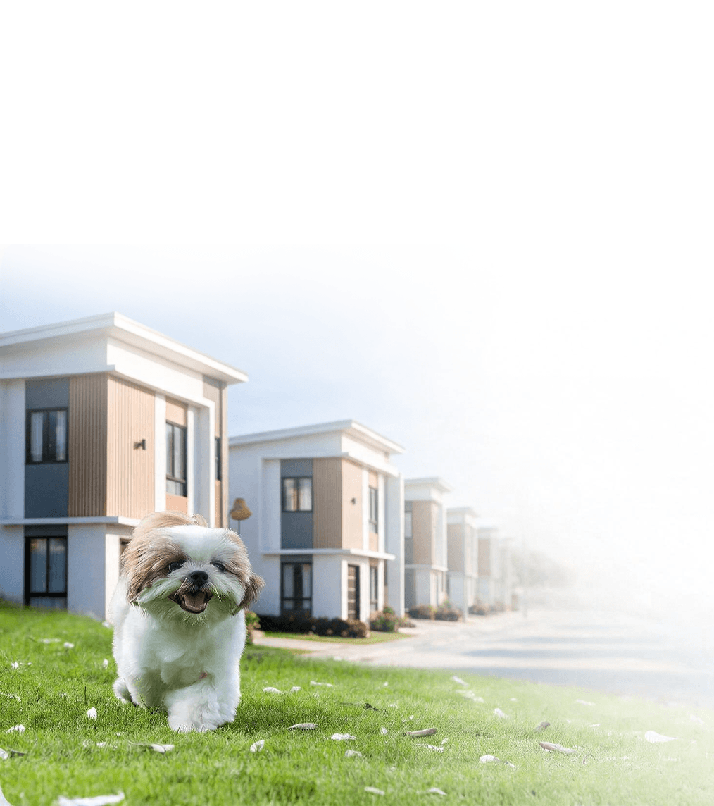 Slider Image 3